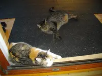 IMGP9566.webp