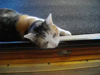 IMGP9568.webp