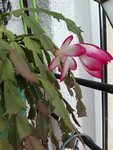 20200626_184921.jpg