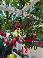 20200624_201611.webp