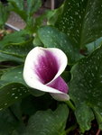 20200629_132923.jpg