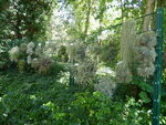 P1010005Tilantie.JPG