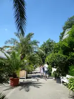 P1010006.webp