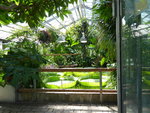 P1010048Blick ins Victoriahaus.JPG