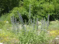 P1010065.JPG