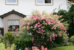 Haus  0420.JPG