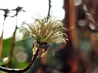 image003.webp
