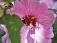 image005.webp