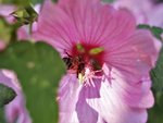 image005.jpg