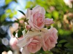 image006.jpg