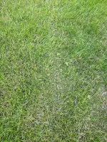 MVIMG_20200624_171235.webp