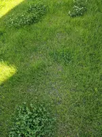 MVIMG_20200624_171246.webp