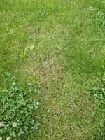 MVIMG_20200702_181540.webp