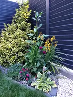 20200702_204323.jpg