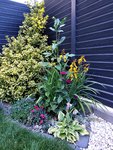 20200702_204323.jpg