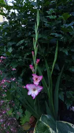 20200702_205403.jpg