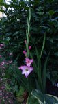 20200702_205403.jpg