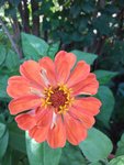 20200702_185905.jpg
