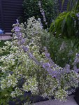 20200702_210350.jpg