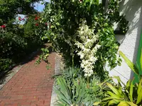 DSC01112.JPG