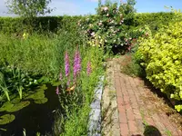 DSC01117.JPG