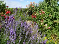 DSC01120.JPG
