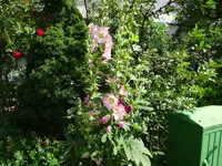 DSC01114.JPG