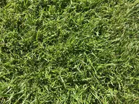 IMG_8103.webp