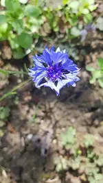 20200703_161725.webp