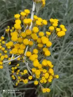 E869E559-BB2B-4948-9938-03C08C8C096B.webp