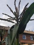 20200703_184526.jpg