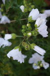 DSC00127.JPG