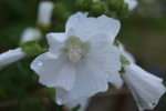 DSC00128.JPG