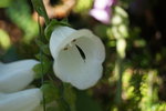 DSC00150.JPG