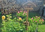 Sommergarten 14.jpg