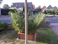 IMG_20190726_190000.webp