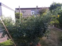 IMG_20190726_190011.webp