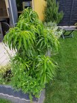 20200705_113344.jpg