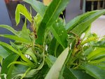 20200705_112804.jpg