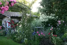 Juli    1620.webp