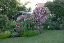 Juli    1820.webp