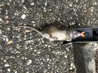 IMG_8137.webp IMG_8137.webp