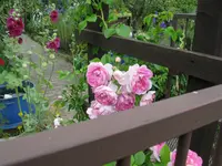 IMG_7220.webp