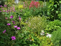 DSCF3871 (2).webp