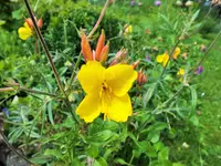 DSCF3866 (2).webp