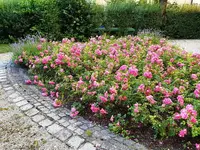 20200630_201705_resized_1.webp