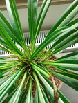 20200706_124134.jpg