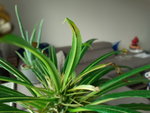 20200706_140059.jpg