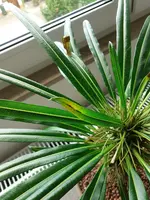 20200706_140051.webp