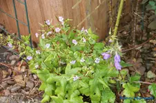 comp_DSC09124.webp